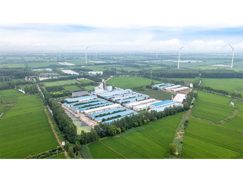 2023年中央一號(hào)文件出爐，畜禽產(chǎn)業(yè)應(yīng)抓住哪些新機(jī)遇？